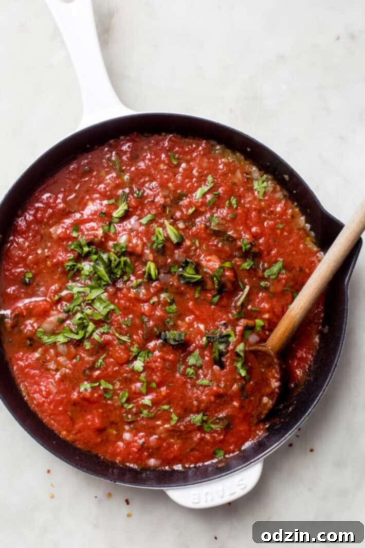 tomato sauce in a skillet tomato sauce in a skillet