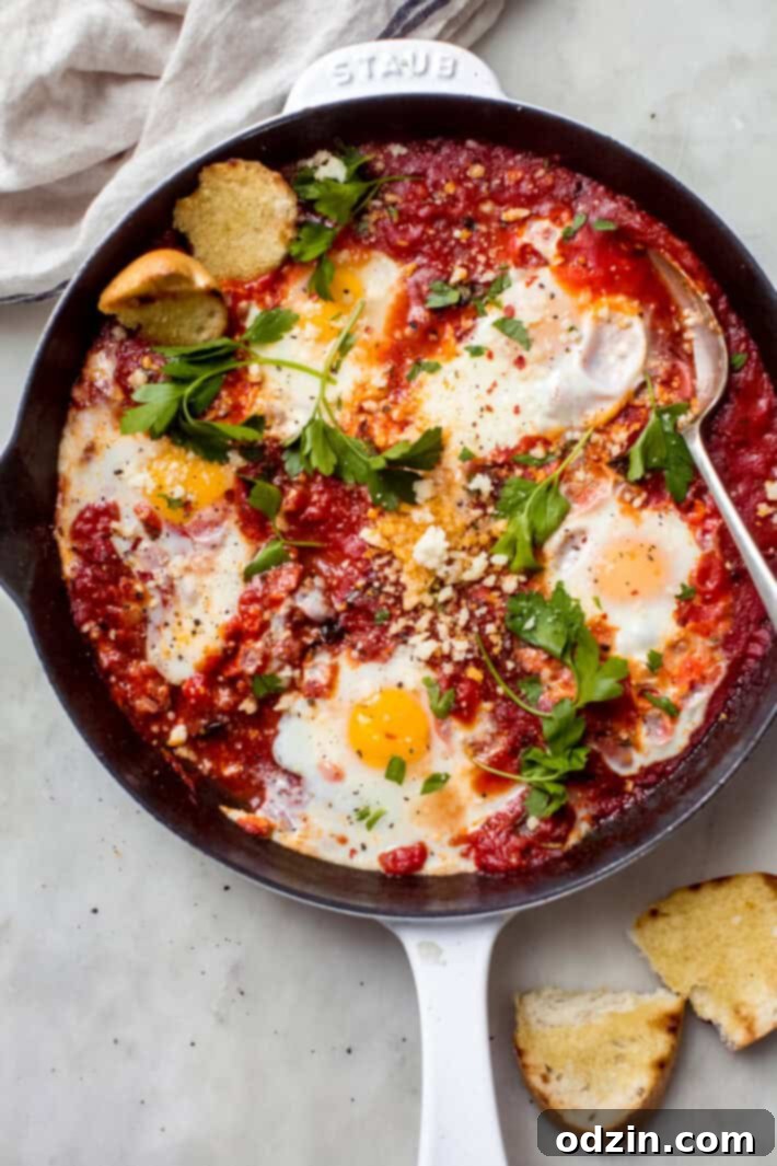 eggs poached in a spicy tomato sauce eggs poached in a spicy tomato sauce