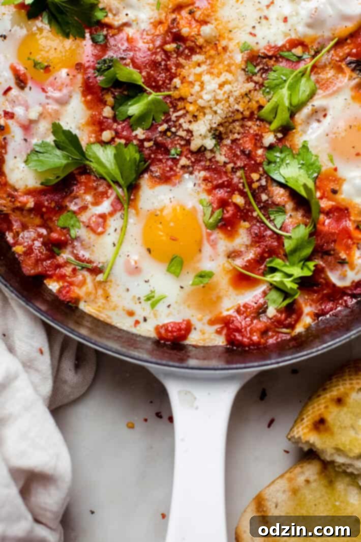 eggs in purgatory close up eggs in purgatory close up