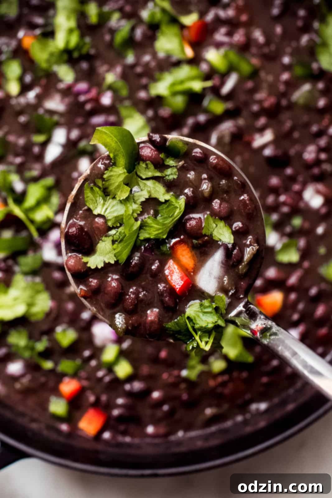 ladleful of black bean soup topped with cilantro and peppers