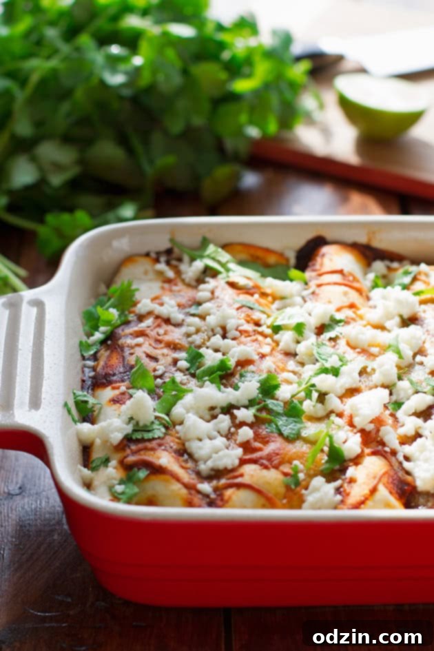 Black Bean and Rice Enchiladas