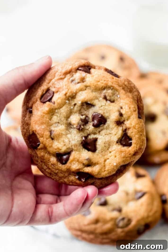 Ultimate Chewy Chocolate Chip Cookies 8 A hand holds a warm, freshly baked, extra chewy chocolate chip cookie, showcasing its perfect texture.