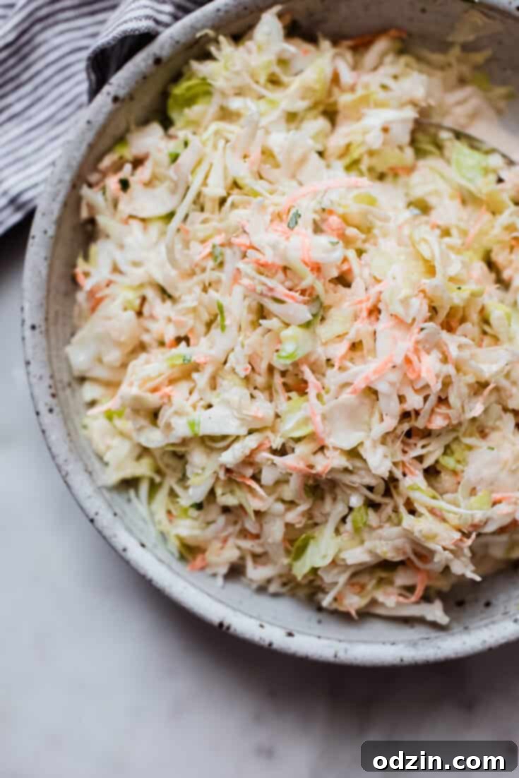 Summer Classic Coleslaw Recipe