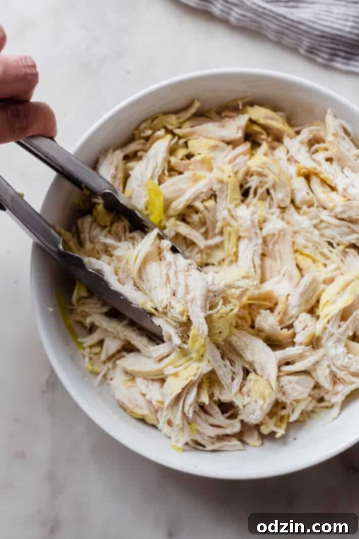 Zesty 5-Ingredient Pepperoncini Chicken 3 Close-up of shredded pepperoncini chicken being lifted from a white bowl with tongs, showing its tender texture