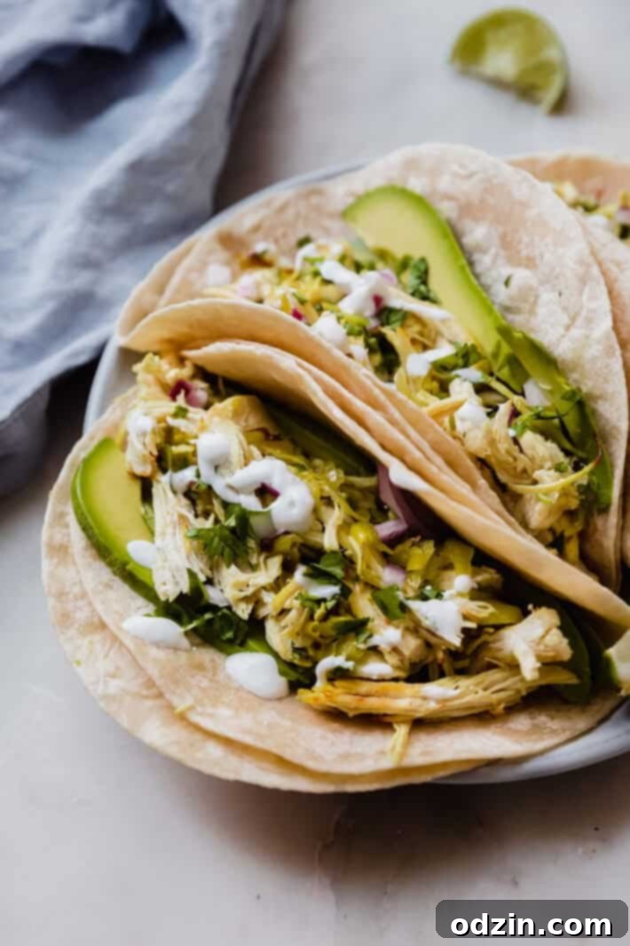 Zesty 5-Ingredient Pepperoncini Chicken 8 Side shot of crispy pepperoncini chicken tacos garnished with sliced avocados, sour cream, fresh cilantro, and minced red onions on a plate