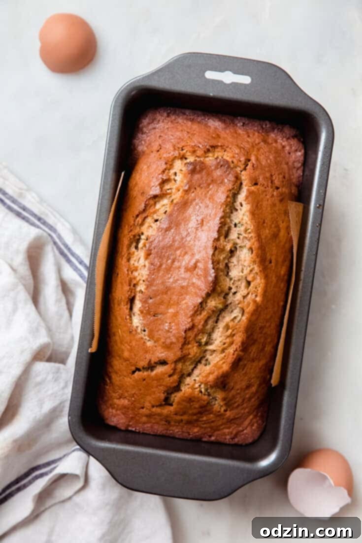 Summer's Best Homemade Zucchini Bread