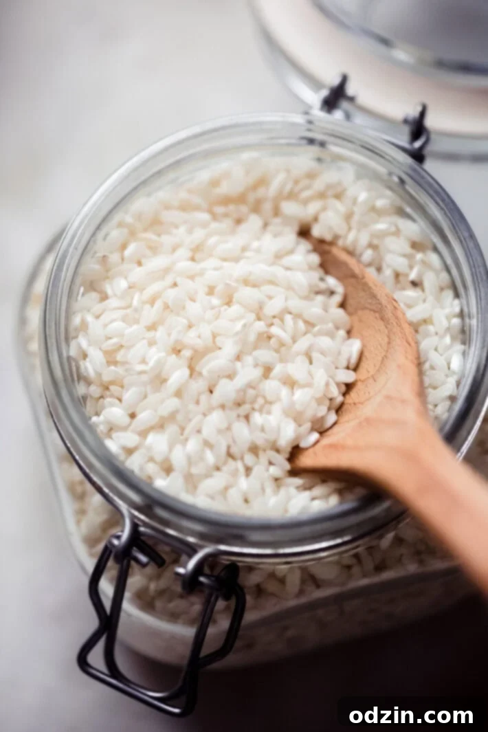 close up of dry arborio rice