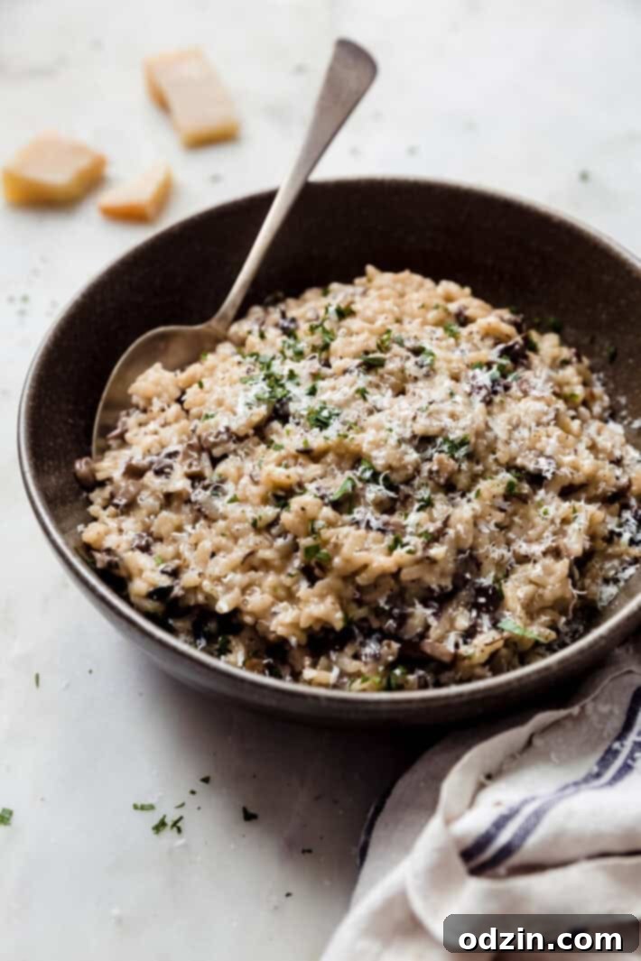 side shot of prepared risotto