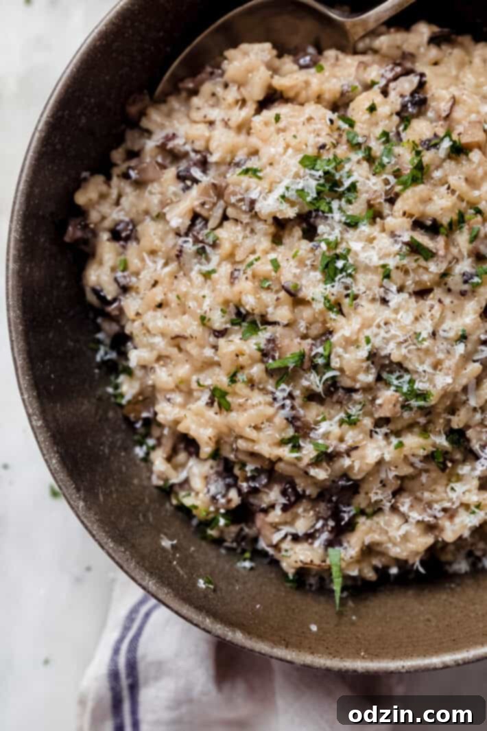 close up shot of bowl with risotto and spoon