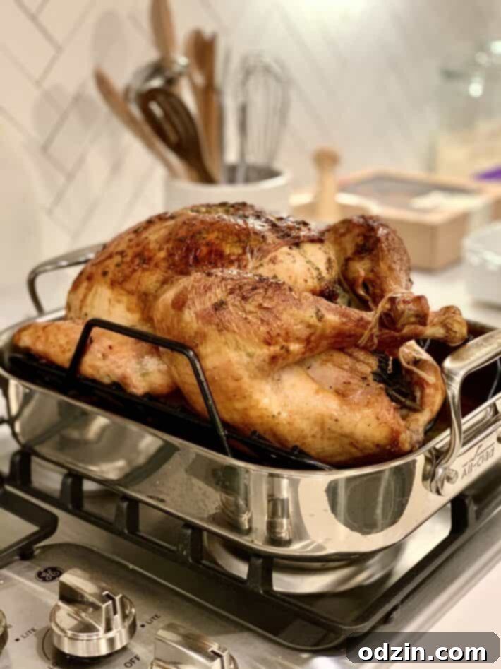 Your Ultimate Thanksgiving: 19 Sides and Hosting Essentials 6 roasted turkey in roasting pan