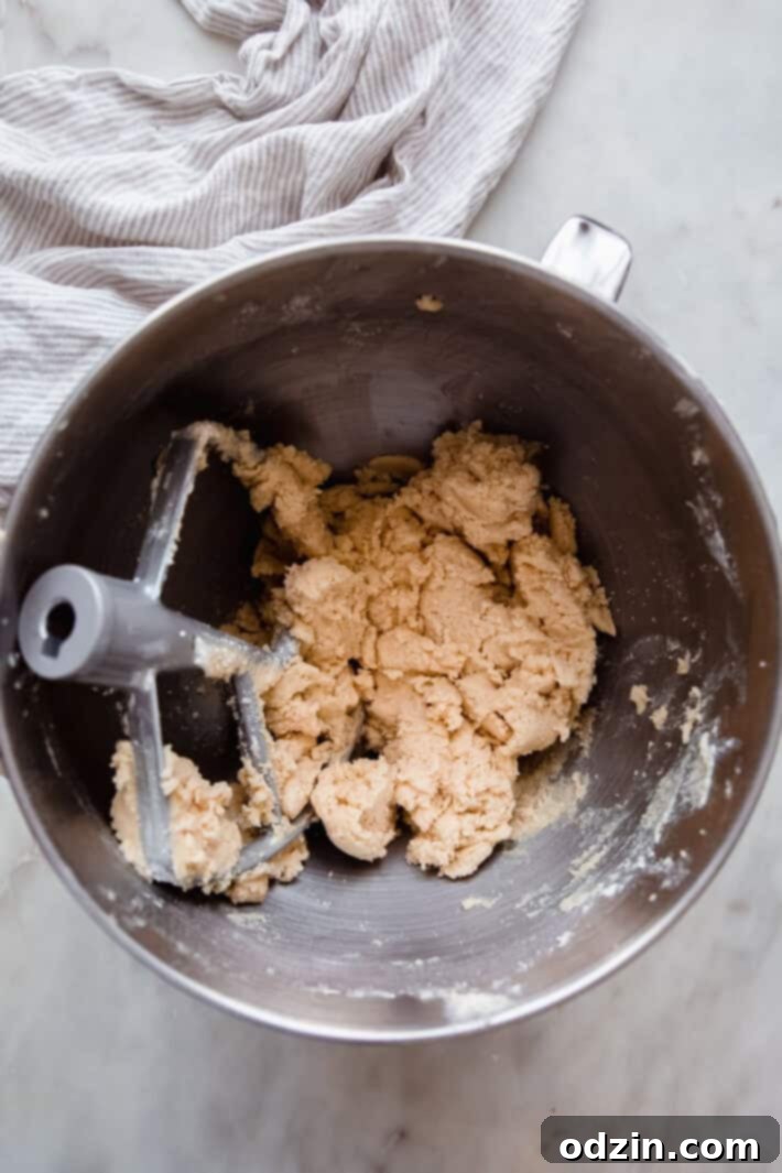 The Ultimate Cut-Out Sugar Cookies: 5 Tips for Baking Perfection 4 cookie dough in mixing bowl with paddle