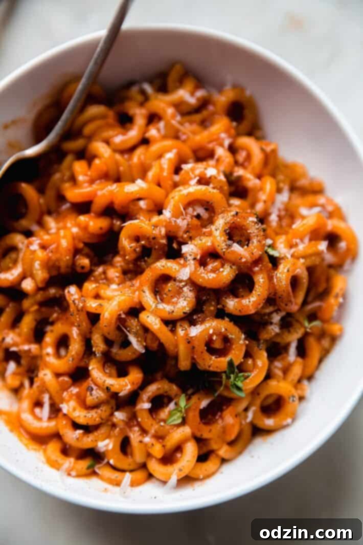 Comforting Homemade Pasta O's 3 prepared anellini pasta in tomato sauce