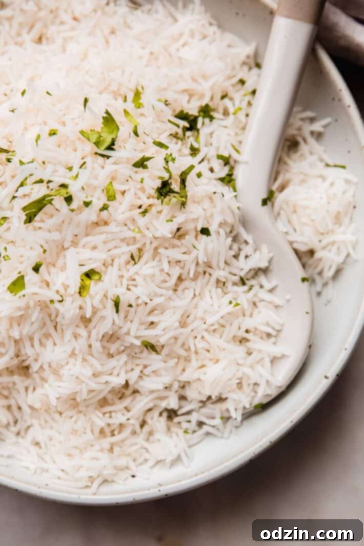 The Secret to Fluffy Indian Restaurant Basmati Rice 2 fluffy perfect basmati rice in plate with ceramic spoon
