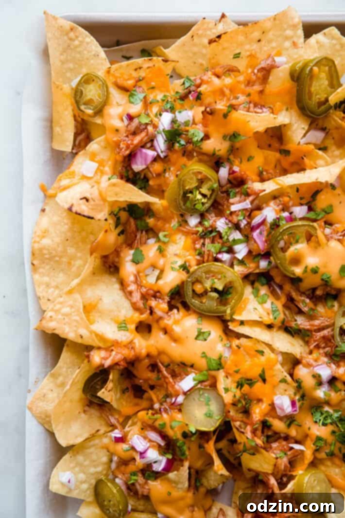 close up of prepared nachos with melted queso and cilantro 