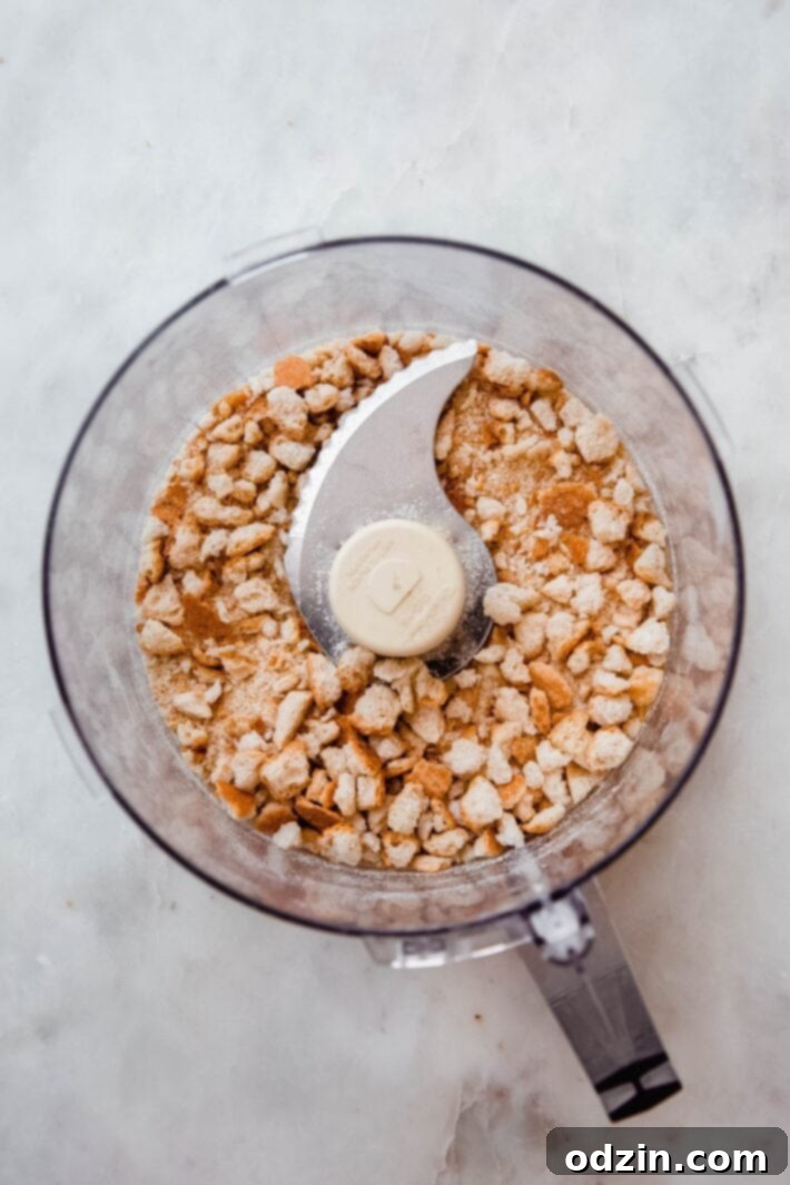 pulsed bread in food processor bowl