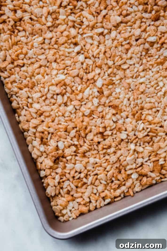 Golden Brown Butter Toasted Marshmallow Krispie Treats 4 Toasted Rice Krispies cereal spread evenly on a baking sheet, showcasing their golden hue.