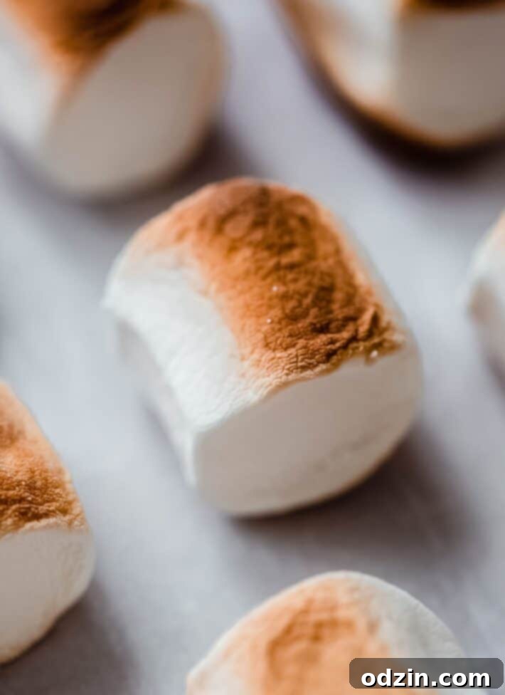Golden Brown Butter Toasted Marshmallow Krispie Treats 5 Browned and lightly charred marshmallows on a parchment-lined baking sheet after broiling.