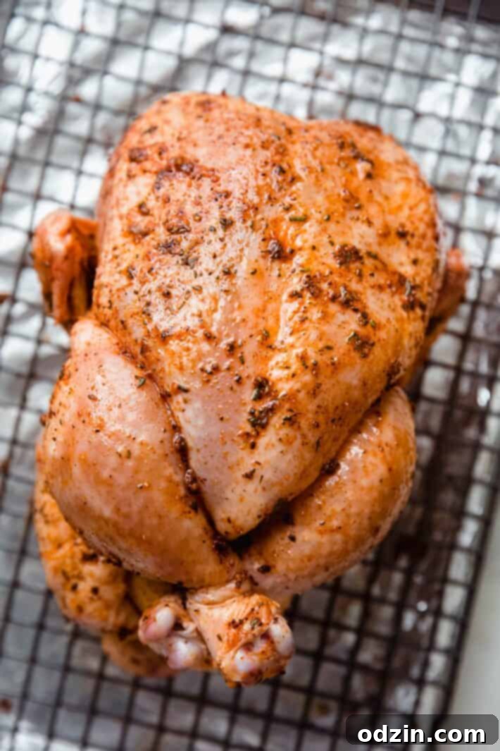trussed seasoned chicken on wire rack