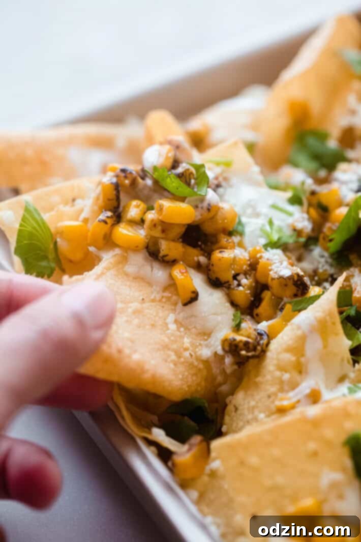 fire-roasted corn on tortilla chips with Oaxaca cheese, Cotija, fresh cilantro