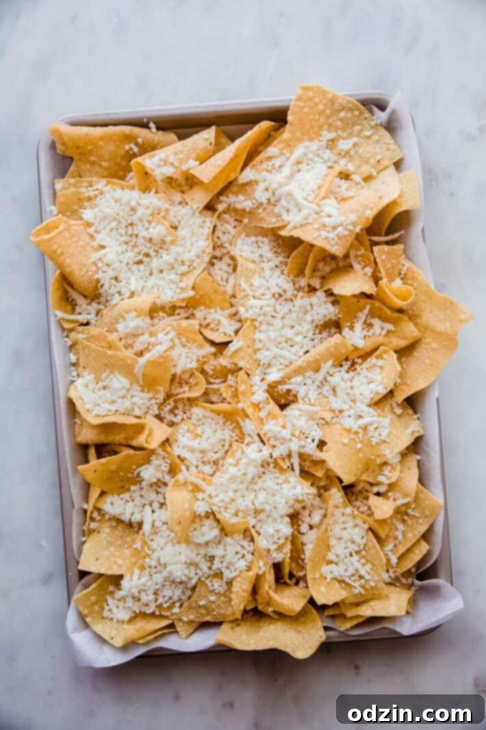 tortilla chips topped with shredded Oaxaca cheese