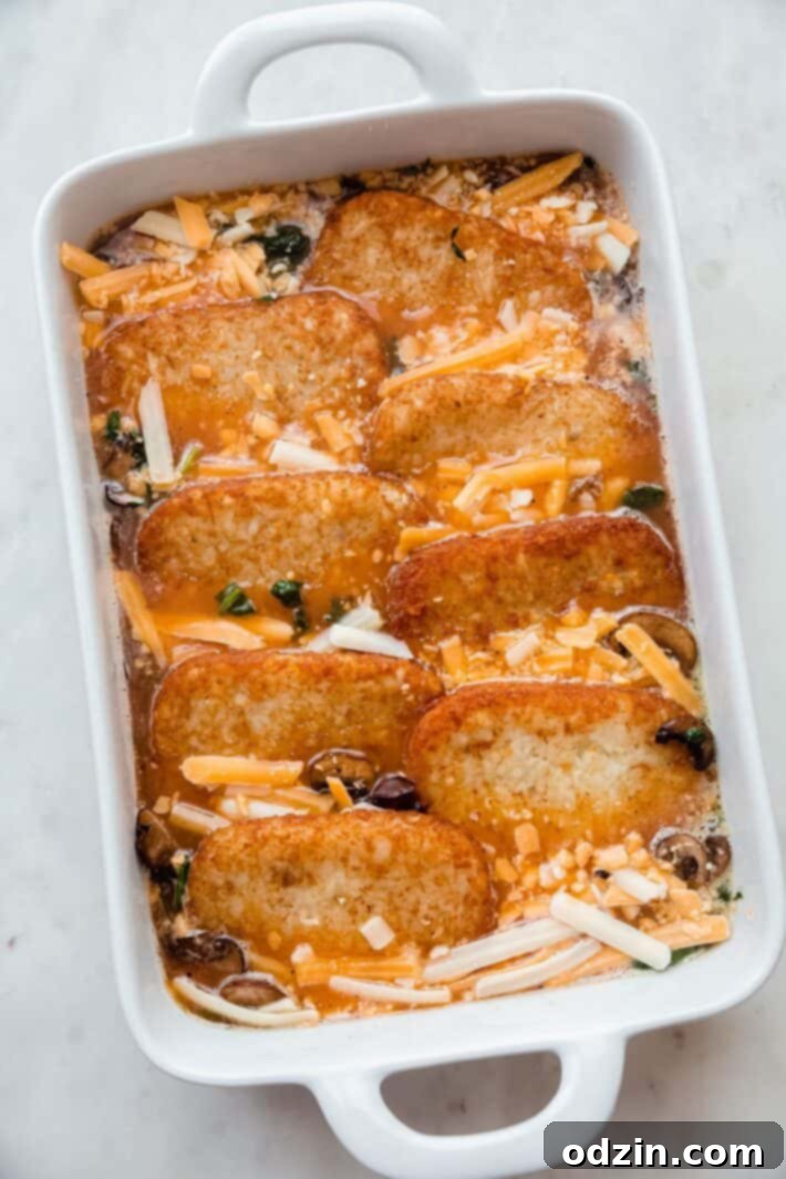 casserole layered before baking in pan