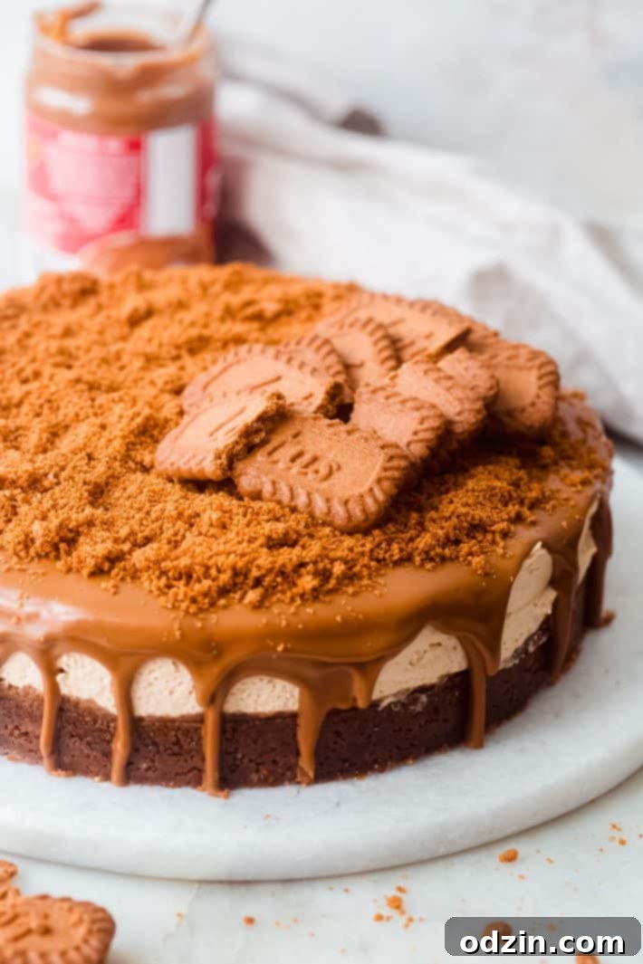 Prepared Biscoff cheesecake on a marble surface, adorned with whole and crushed Biscoff cookies on top, ready to be served.