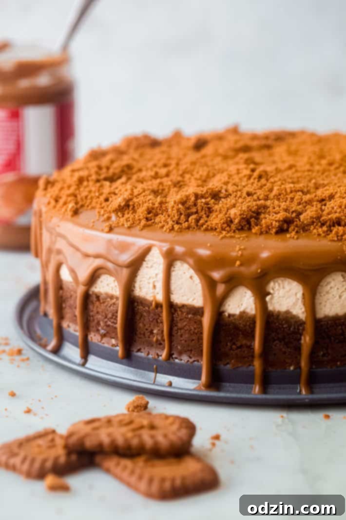 A freshly made no-bake Biscoff cheesecake sitting on a serving tray, generously topped with melted cookie butter and crushed cookies.