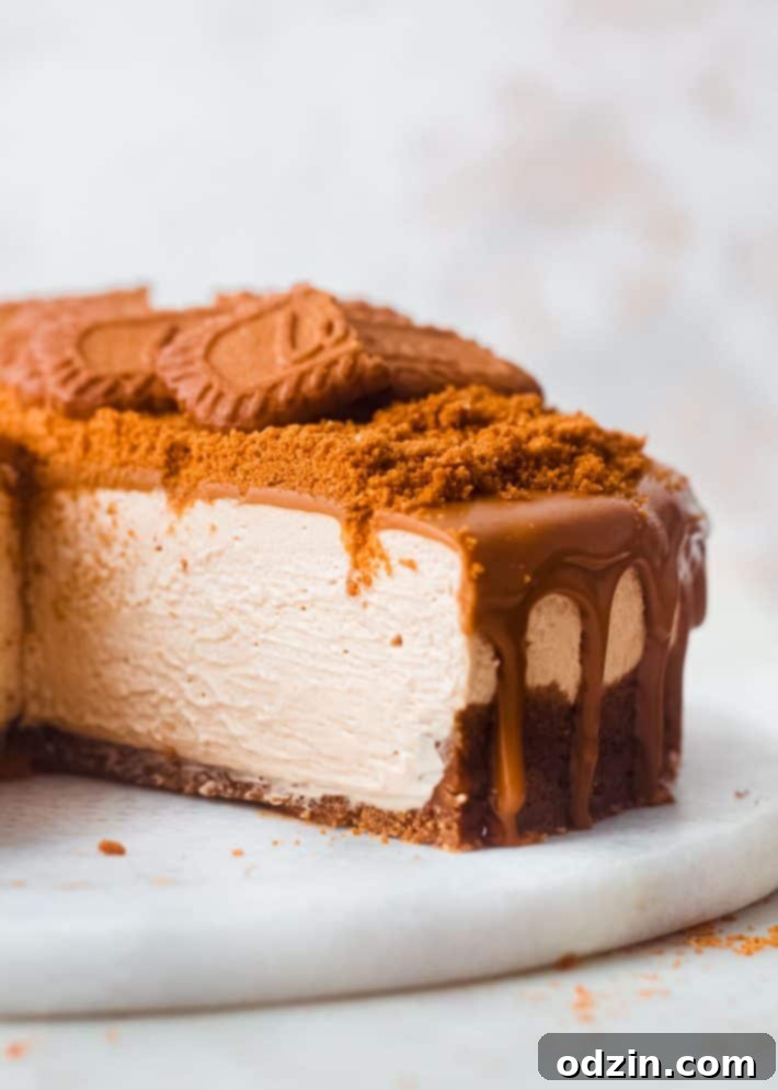 A no-bake Biscoff cheesecake with one slice already removed, showing the creamy texture of the espresso filling and the cookie crust.