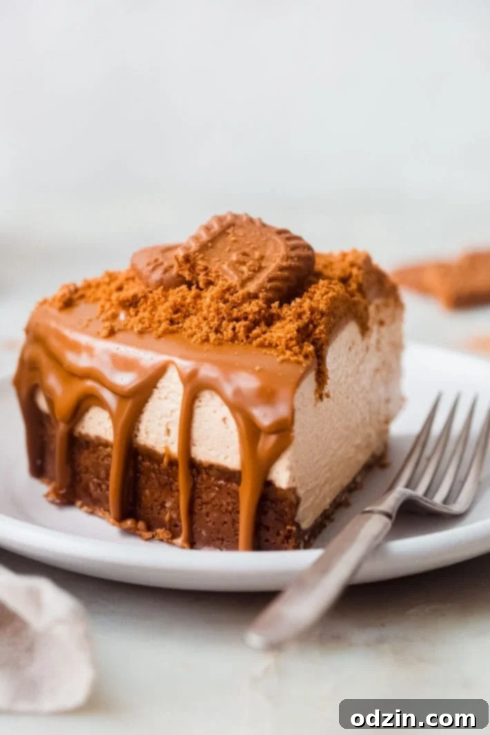 A whole no-bake Biscoff cheesecake, generously topped with melted cookie butter and decorated with whole and crumbled Biscoff cookies, presented beautifully.