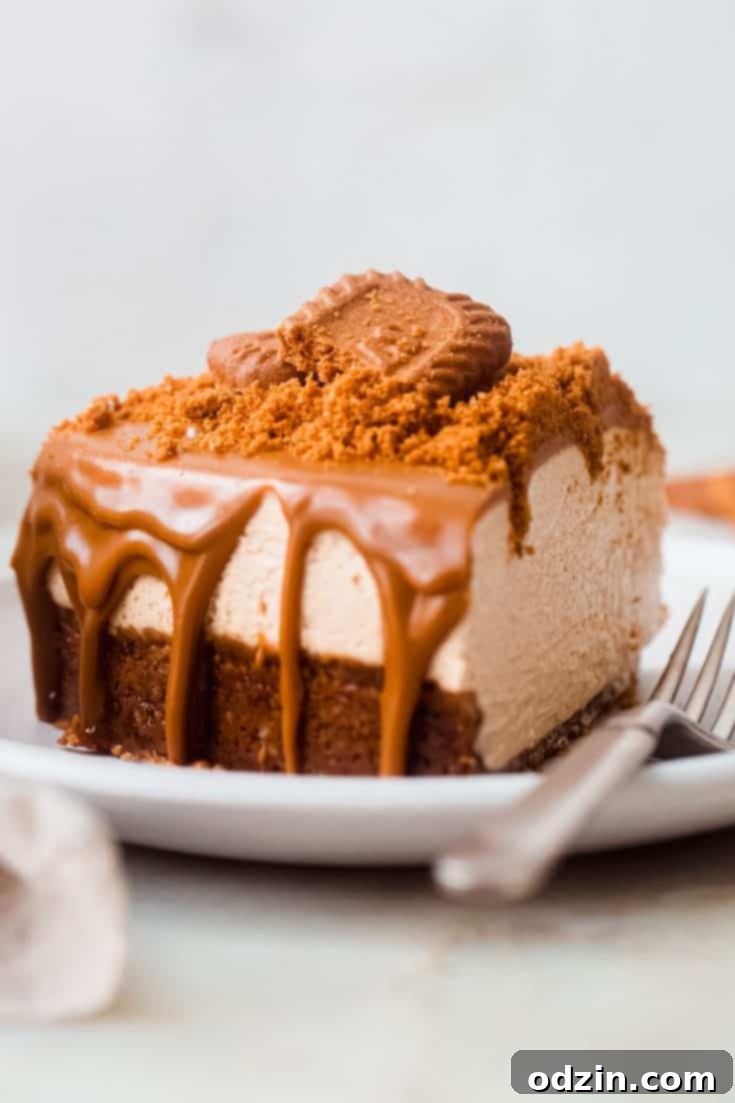 No Bake Biscoff Cheesecake (Cookie Butter Latte Cheesecake)