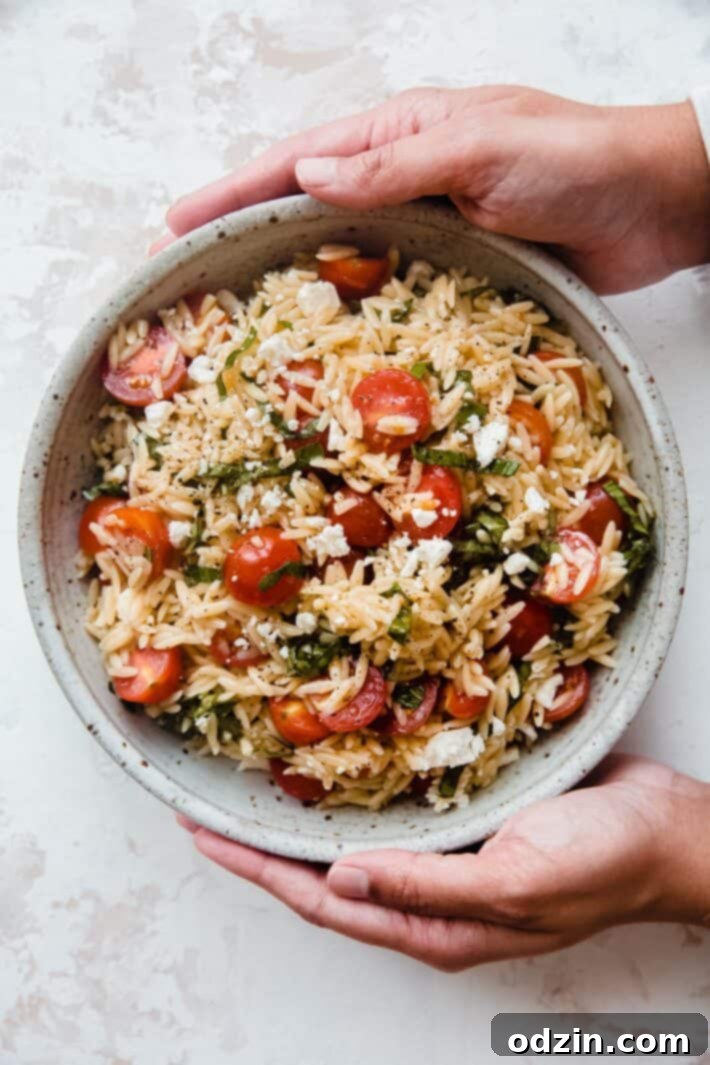Tomato Basil and Feta Orzo Salad in a bowl