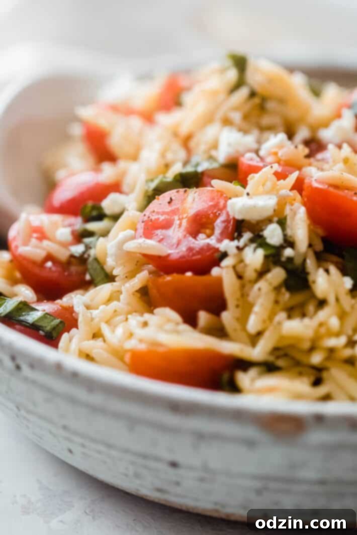Close-up of Orzo Pasta Salad with Tomatoes, Basil, and Feta