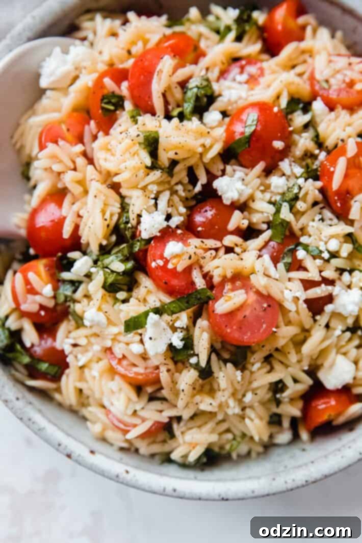 Another view of Tomato Basil and Feta Orzo Salad