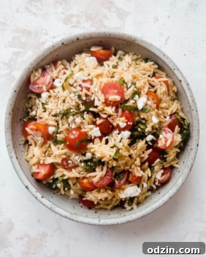 Overhead shot of Tomato Basil Feta Orzo Salad