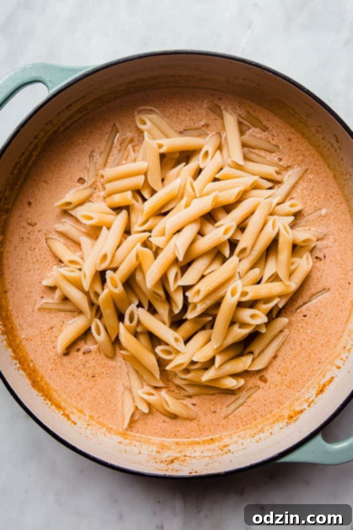 Noodles tossed in creamy paprika sauce with chicken