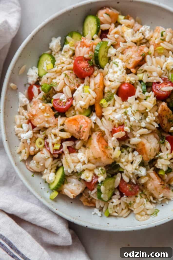 Riviera Prawn & Orzo Bowl 6 Tossed orzo shrimp salad in a speckled plate, showcasing all the vibrant ingredients