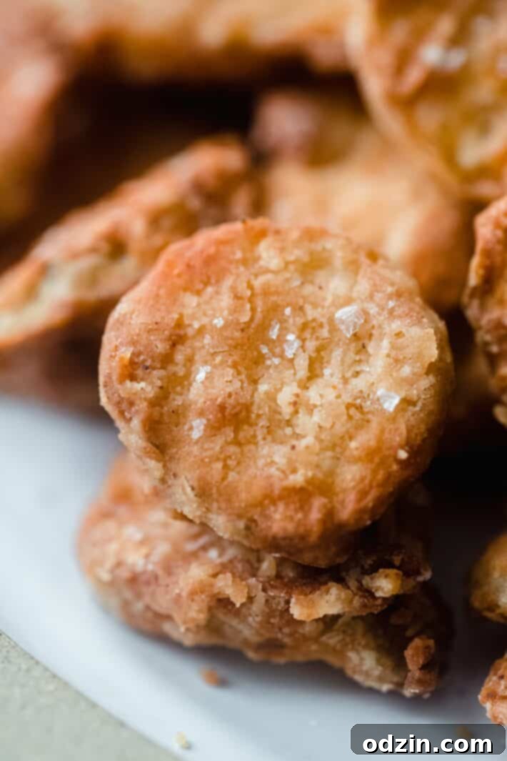 Close-up of a perfectly golden-brown air fryer fried pickle chip, sprinkled with flaked sea salt, on a white plate.
