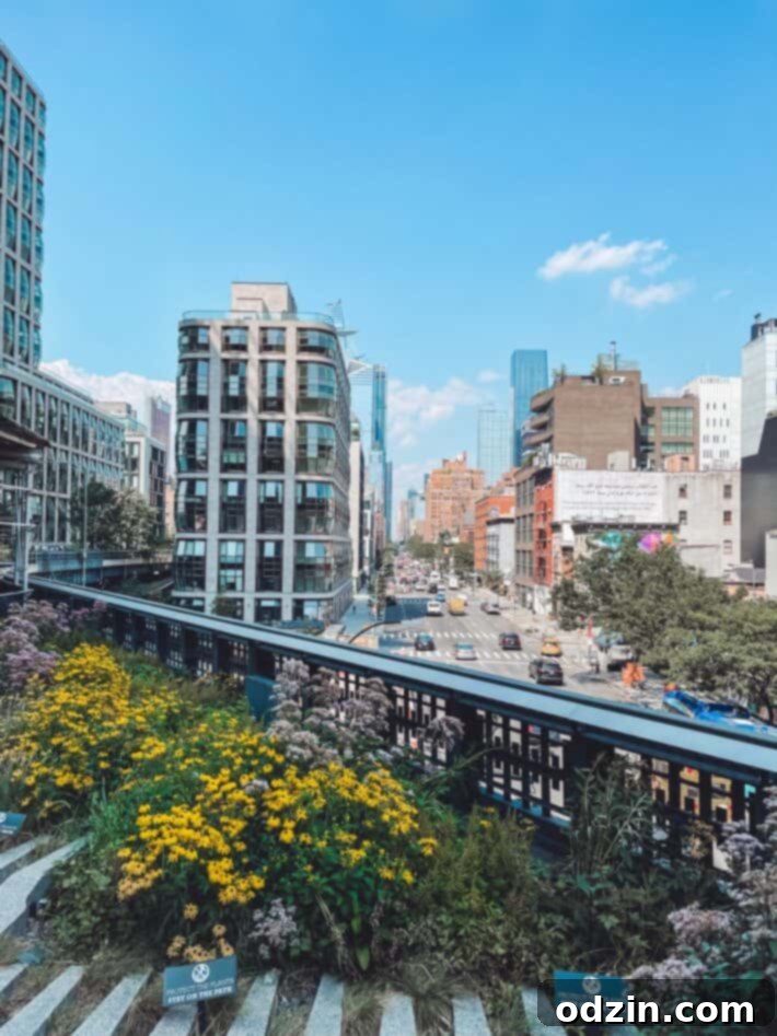 Picture from the Highline