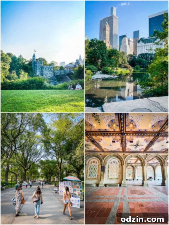 central park views of Belvedere castle, Plaza Hotel, and Bethesda Fountain