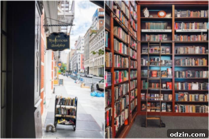 visiting the Mysterious Bookshop
