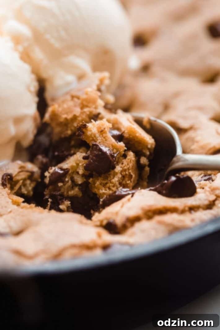 Ingredients for skillet chocolate chip cookie