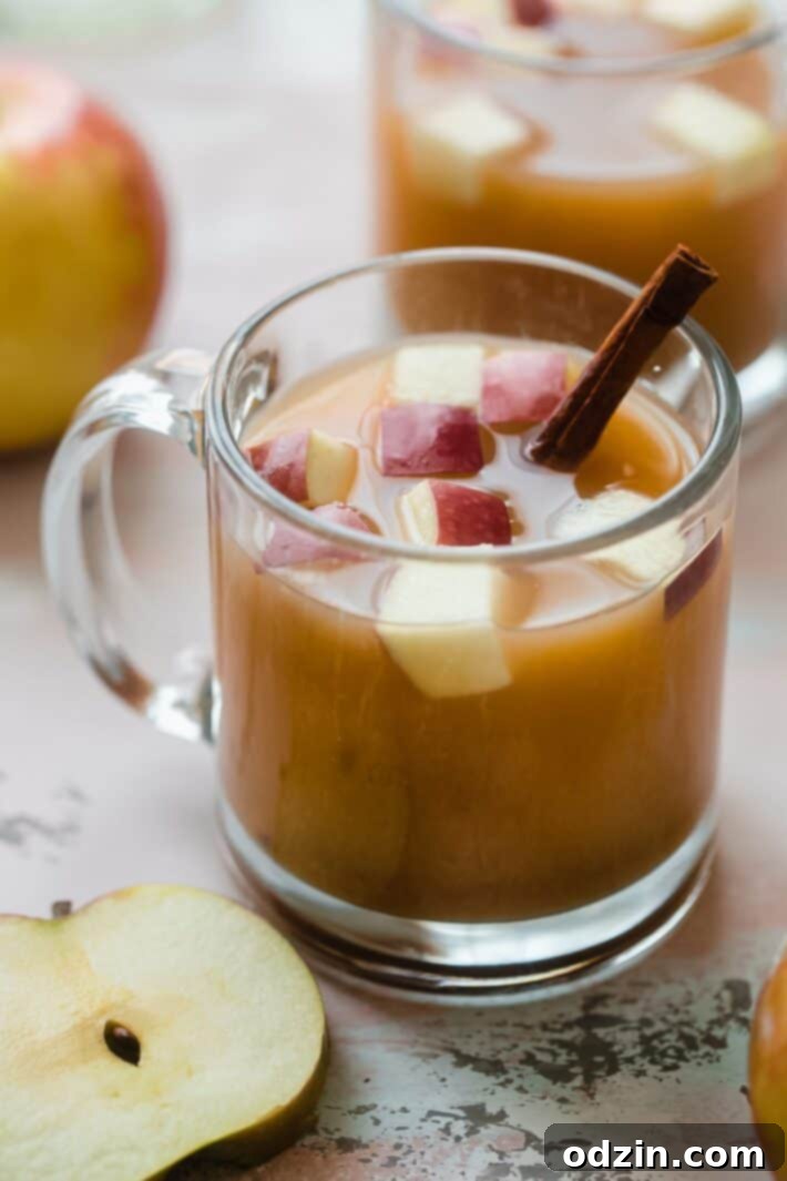 Crafting Your Own Apple Cider 2 homemade apple cider with fresh apples and cinnamon stick in mug
