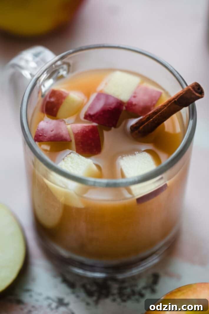 Crafting Your Own Apple Cider 3 apple cider in clear glass with chunks of apples and cinnamon stick