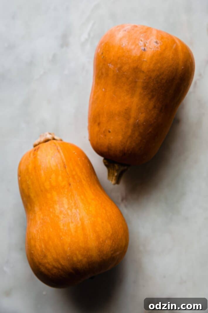 two honeynut squash on white marble
