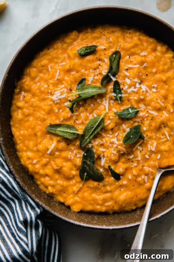 bowl with risotto, topped with sage, cheese with a spoon
