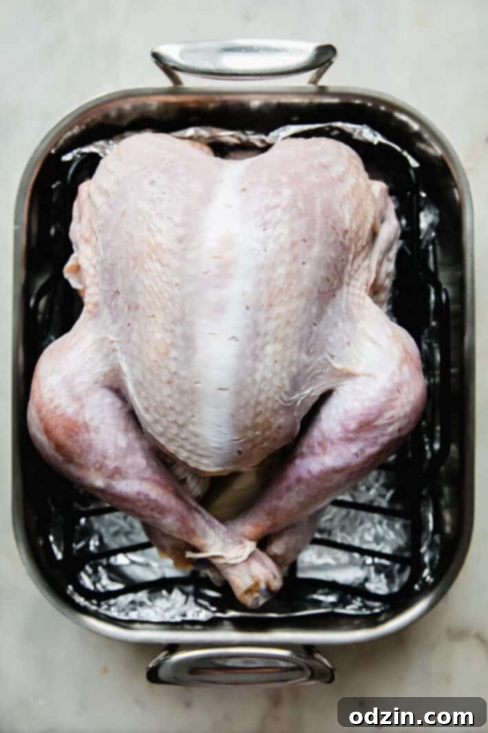 turkey in roasting pan