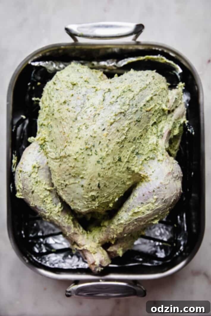 butter rubbed turkey in roasting pan
