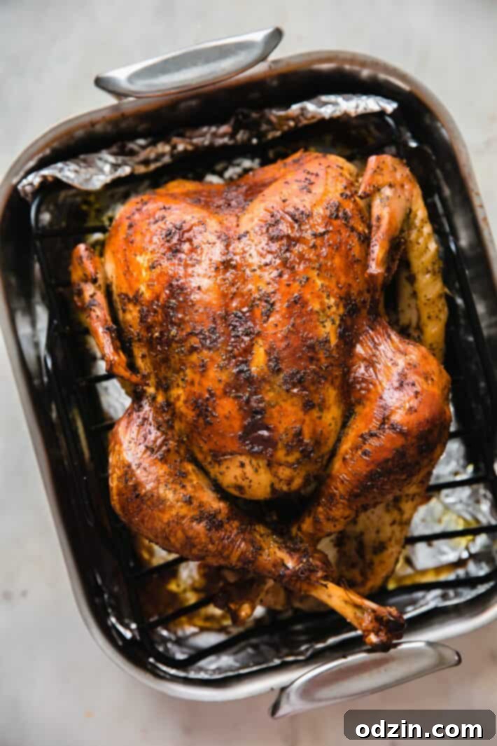 roasted turkey in roasting pan