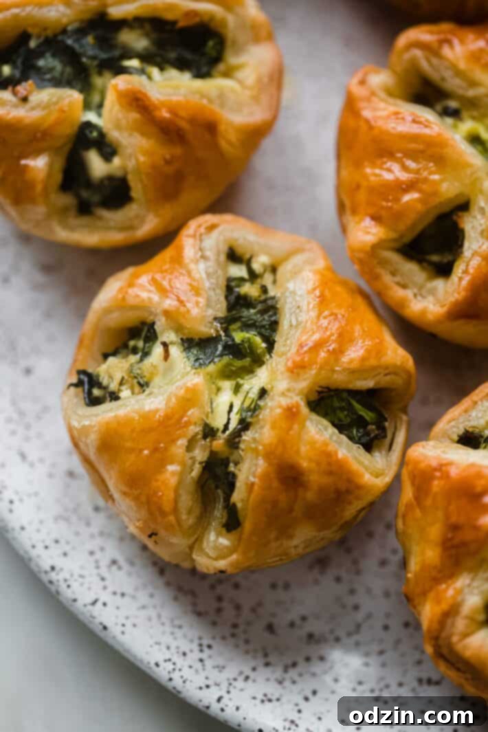 Flaky Spinach Feta Gems 3 spinach puffs on speckled plate