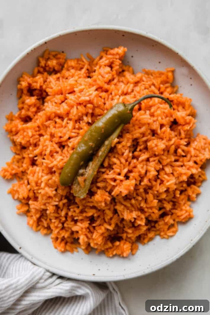 Classic red Mexican rice served in a speckled ceramic plate